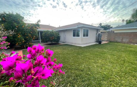 Window Replacement Project in Arcadia, CA