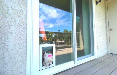 Window & Patio Door with In-Glass Pet Door Installation in Rancho Cucamonga, CA