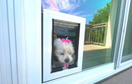 Window & Patio Door with In-Glass Pet Door Installation in Rancho Cucamonga, CA