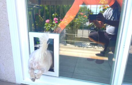 Window & Patio Door with In-Glass Pet Door Installation in Rancho Cucamonga, CA