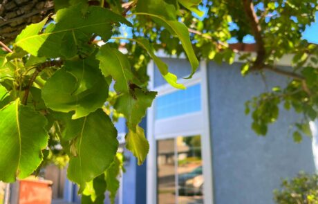 Window & Patio Door Installation in Chatsworth, CA