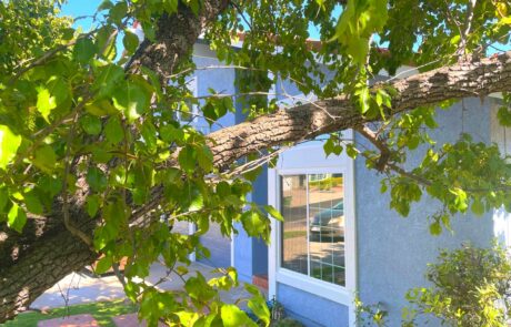 Window & Patio Door Installation in Chatsworth, CA