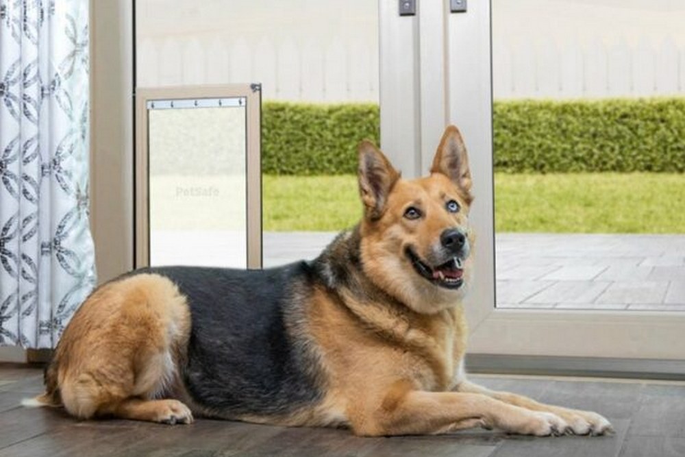 Do In-Glass Pet Doors Help Reduce Pet Anxiety and Stress?