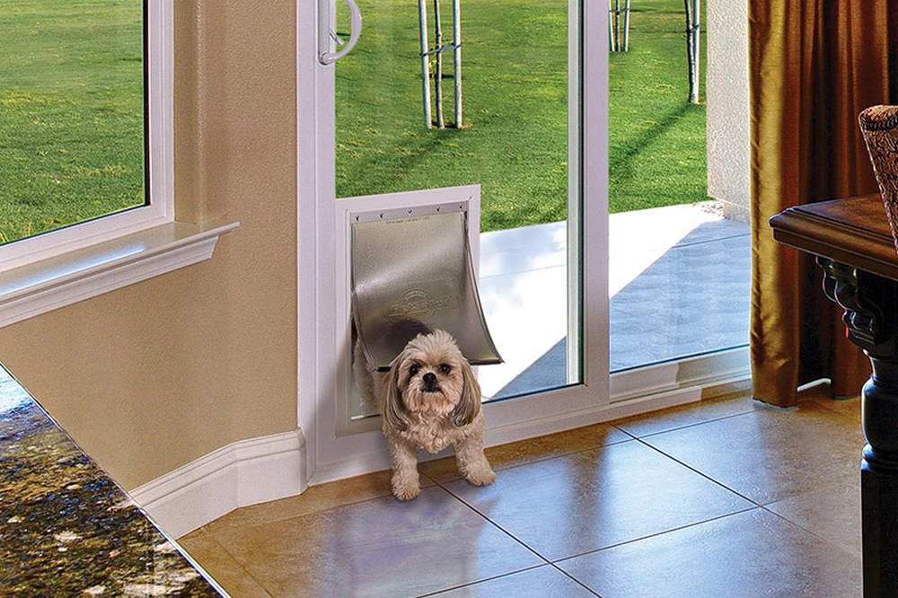 Por Qué a las Mascotas Les Encanta Tener Su Propio Perro Puerta de Vidrio