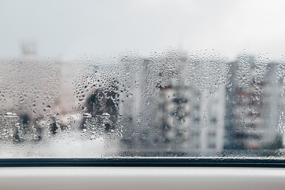 Cómo el Invierno Revela Ventanas con Corrientes de Aire que Podrías Estar Pasando por Alto