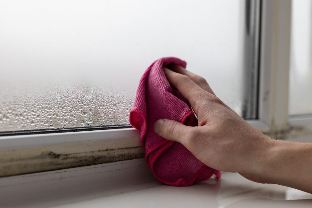 ¿Cómo saber si una casa necesita ventanas nuevas?