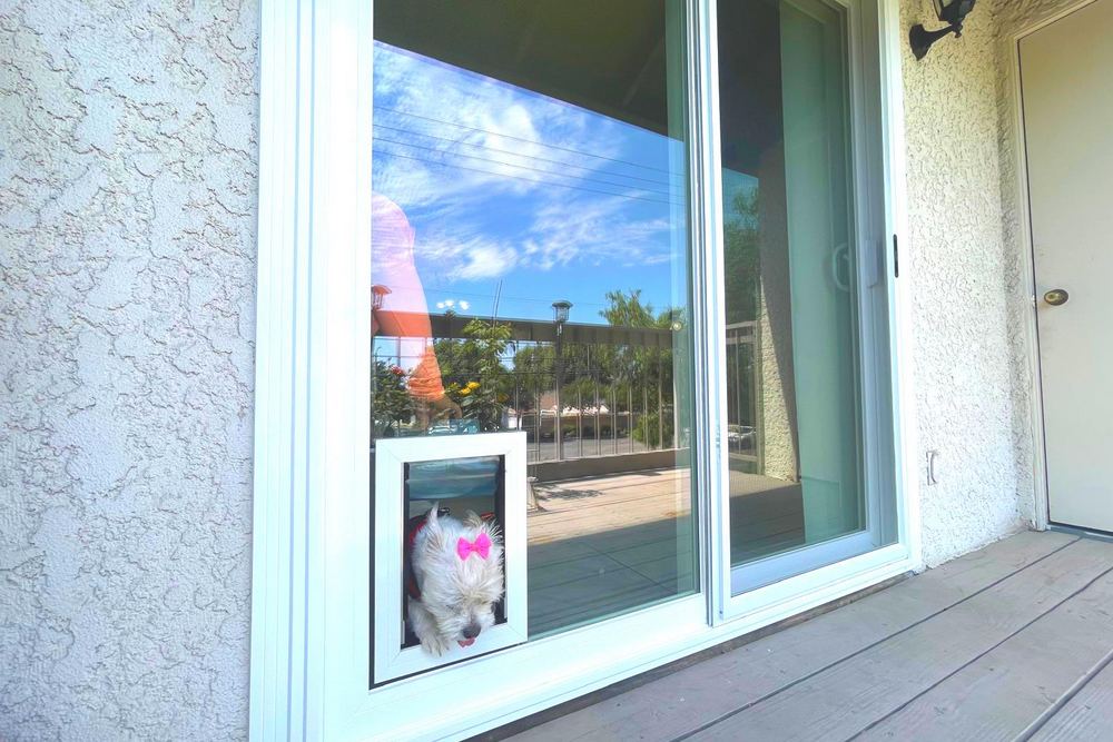 ¿Vale la pena una puerta para mascotas Anlin integrada en el vidrio?