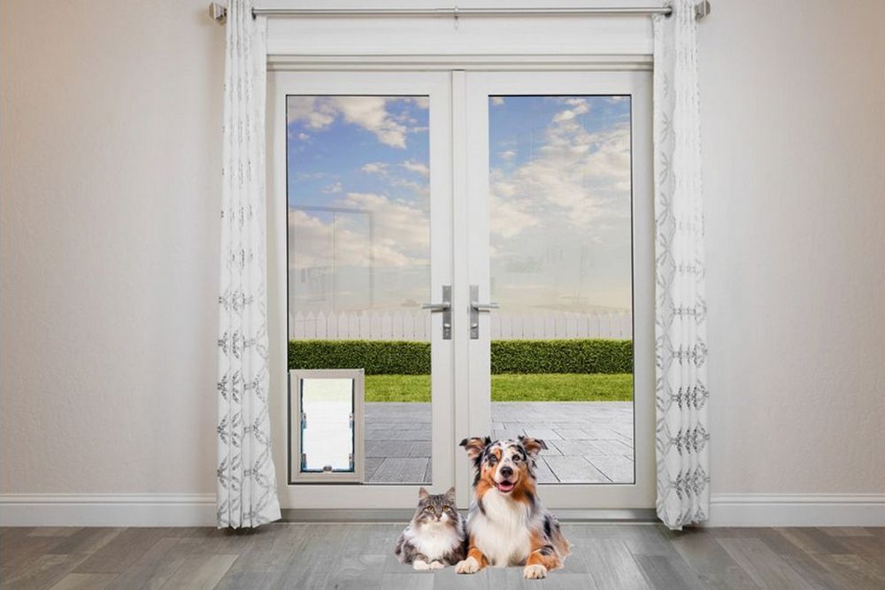Por qué una puerta para mascotas Anlin In-Glass es la mejora favorita de tu mascota este verano
