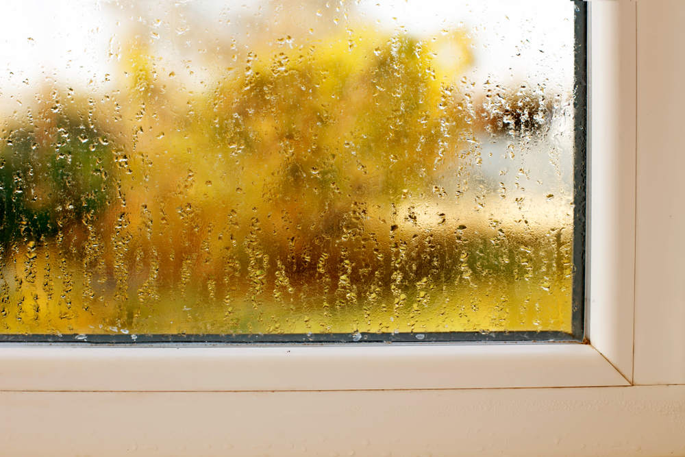 Why NOT to Ignore Foggy Windows