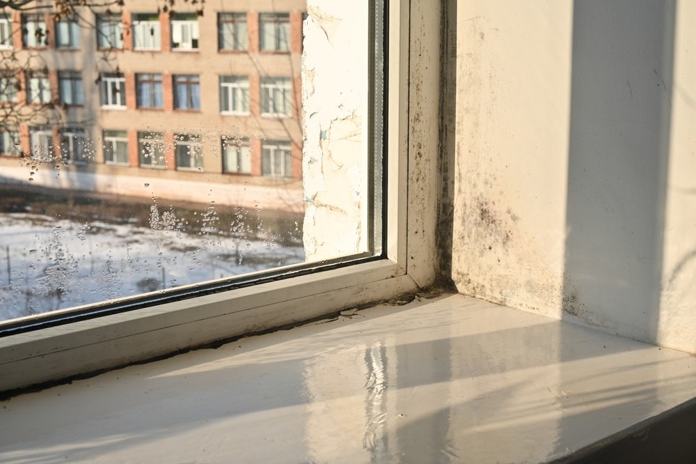 6 Window Problems to Address Before Southern California’s Rainy Season